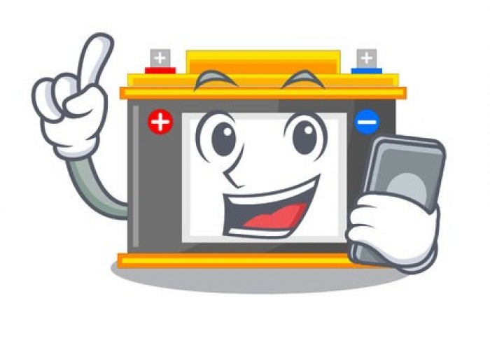 ARRIVAGE DE BATTERIES VOLTECC DU 22 Novembre !!!!!